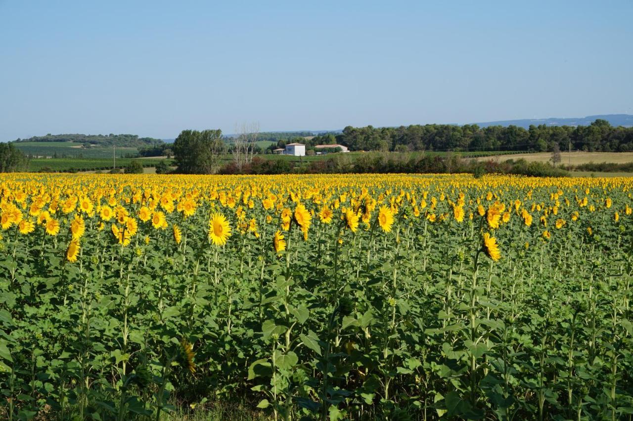 Bed and Breakfast Le Clos Des Troubadours Pennautier Exterior foto