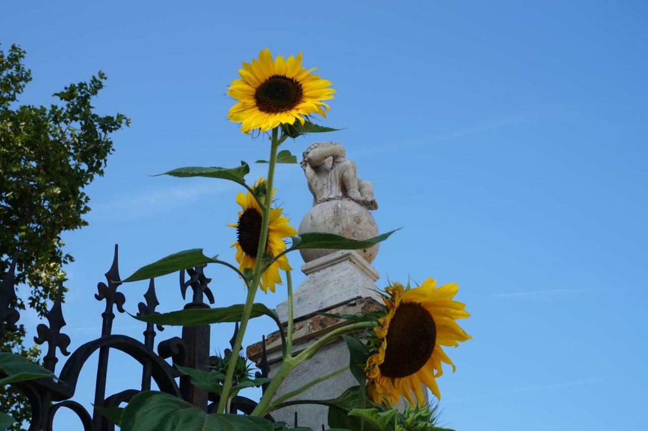 Bed and Breakfast Le Clos Des Troubadours Pennautier Exterior foto